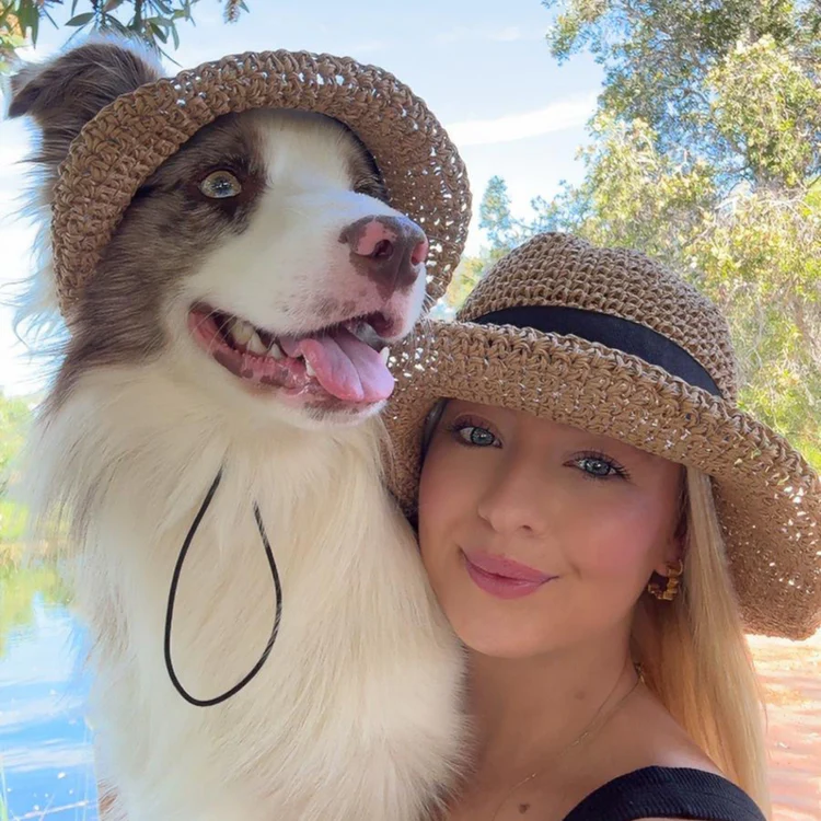 The Complete Guide to UV Protection for Dogs in Australia (Vet-Backed Advice)