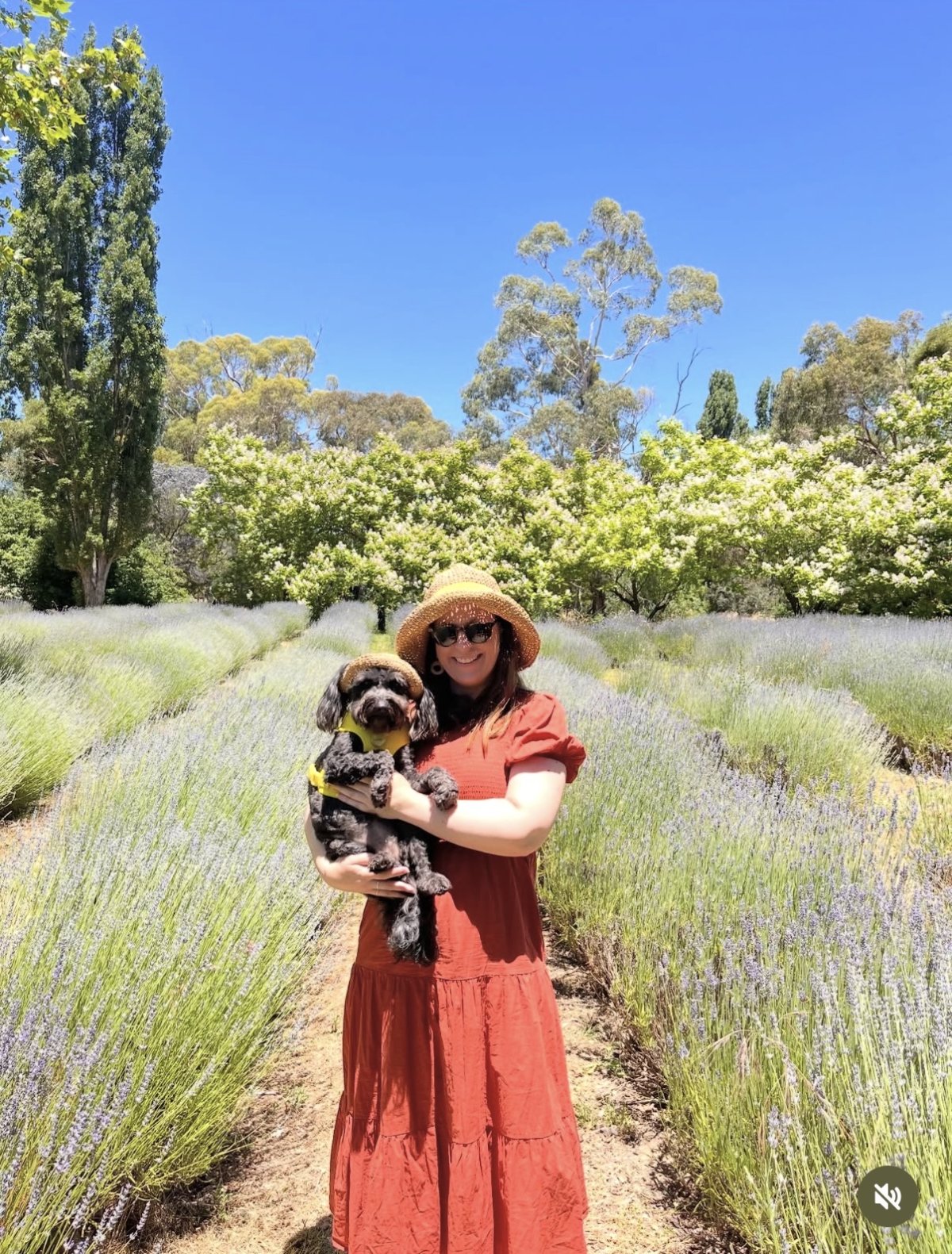 Dog Sun Caps Australia: Sun Safety for Your Best Mate