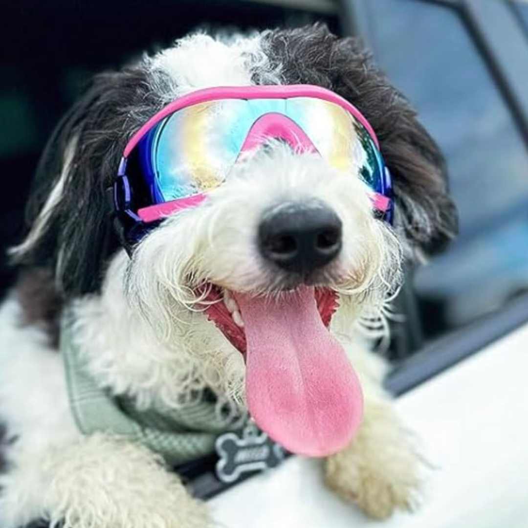 DOGGLES