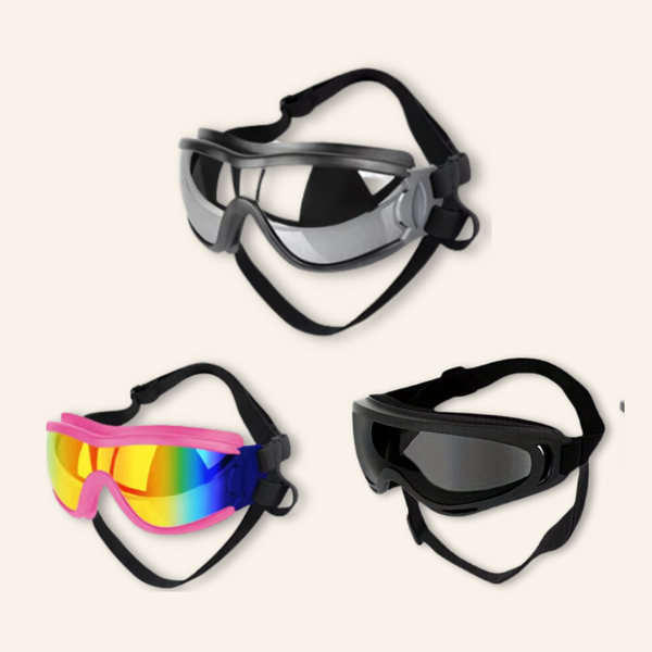 Dog Eye Wear