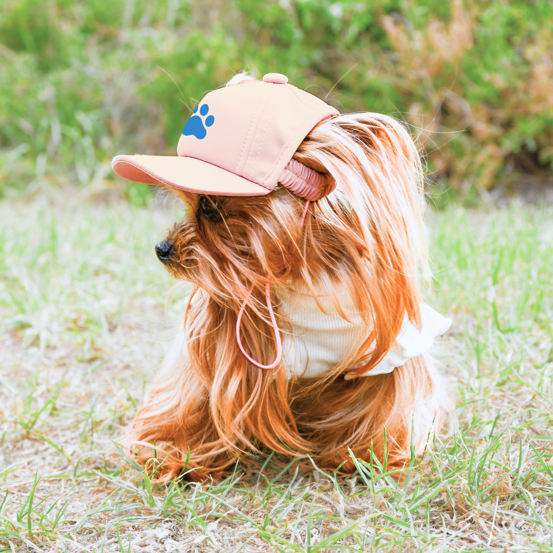 Dog Sun Cap - Prints