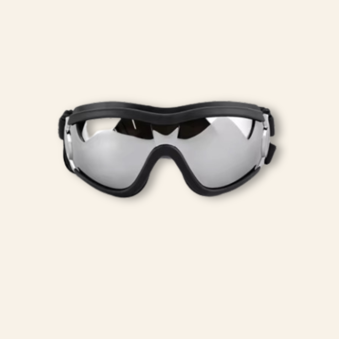 Doggles (XS-M Dogs)