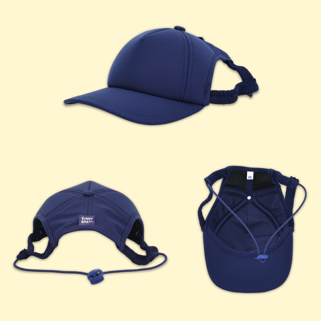 Dog Sun Cap - Prints