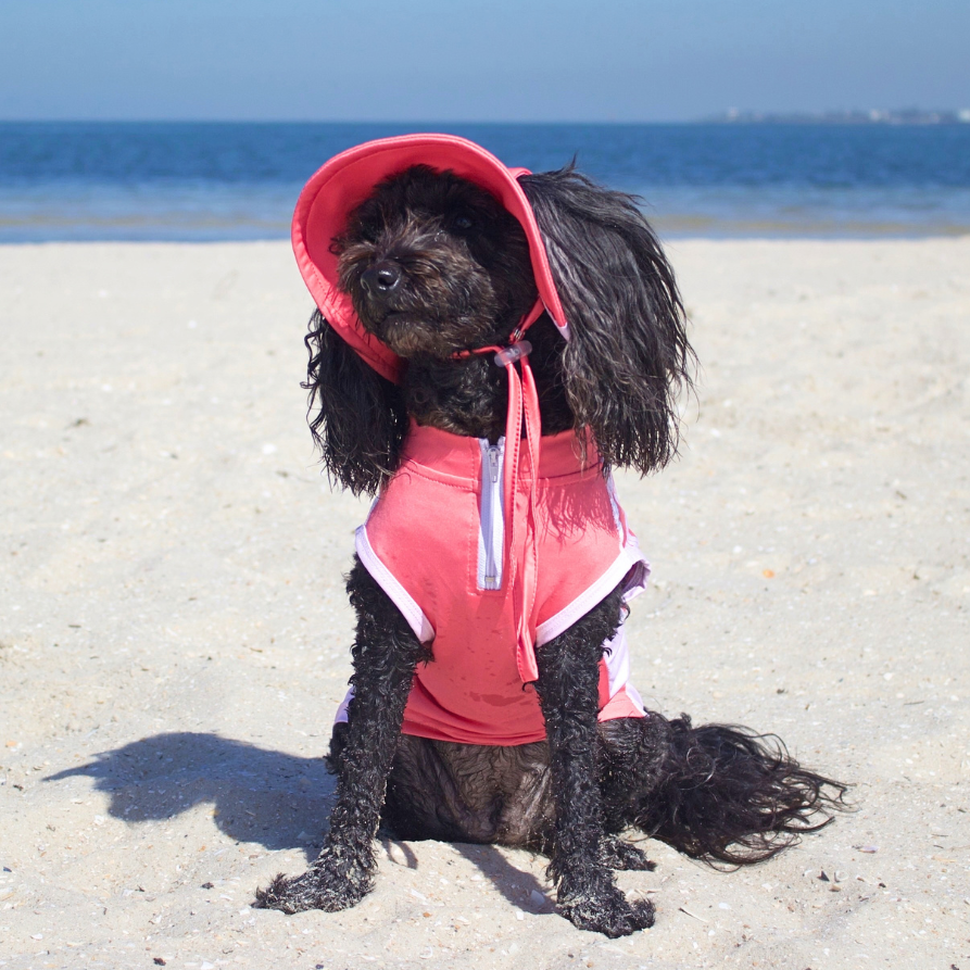 Beach Day Bundle Pack