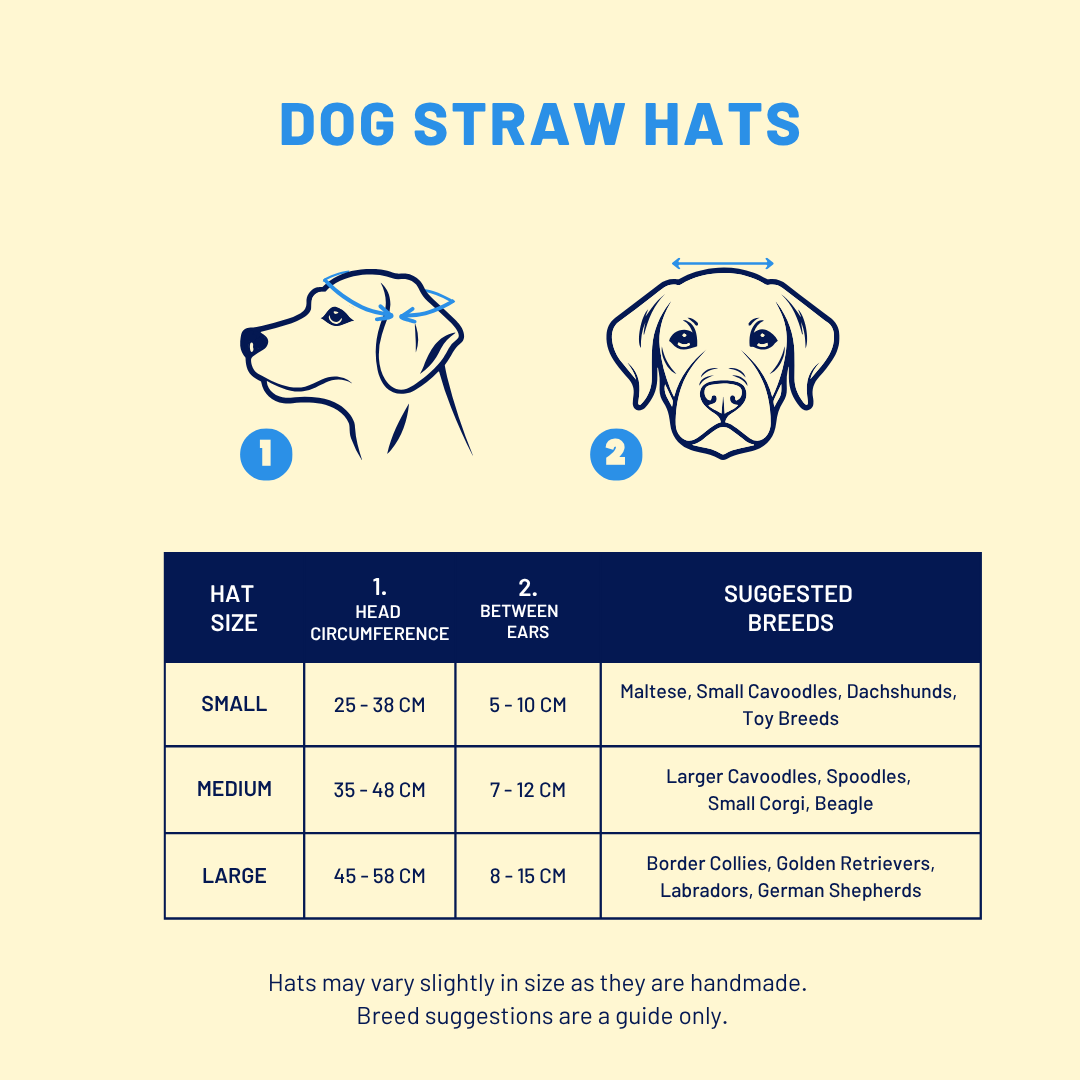 Dog Straw Hat