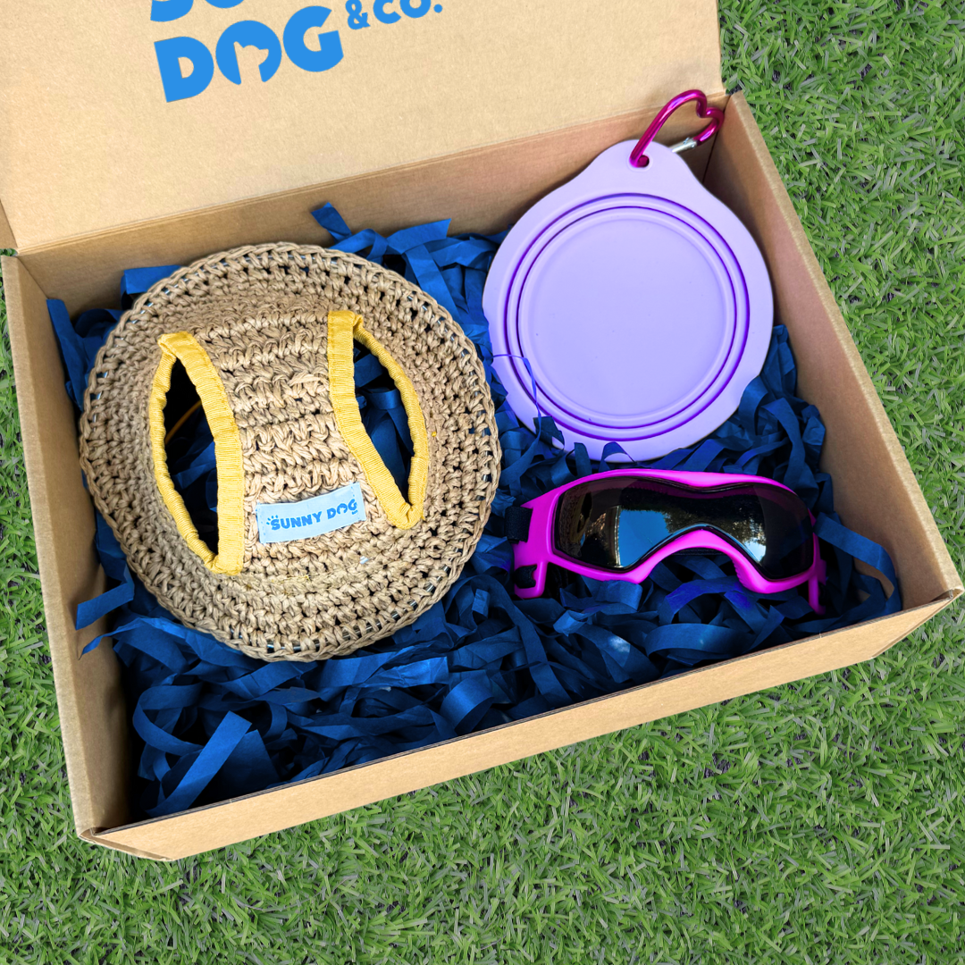 Outdoor Adventure Packs (Tiny/Small Dogs)