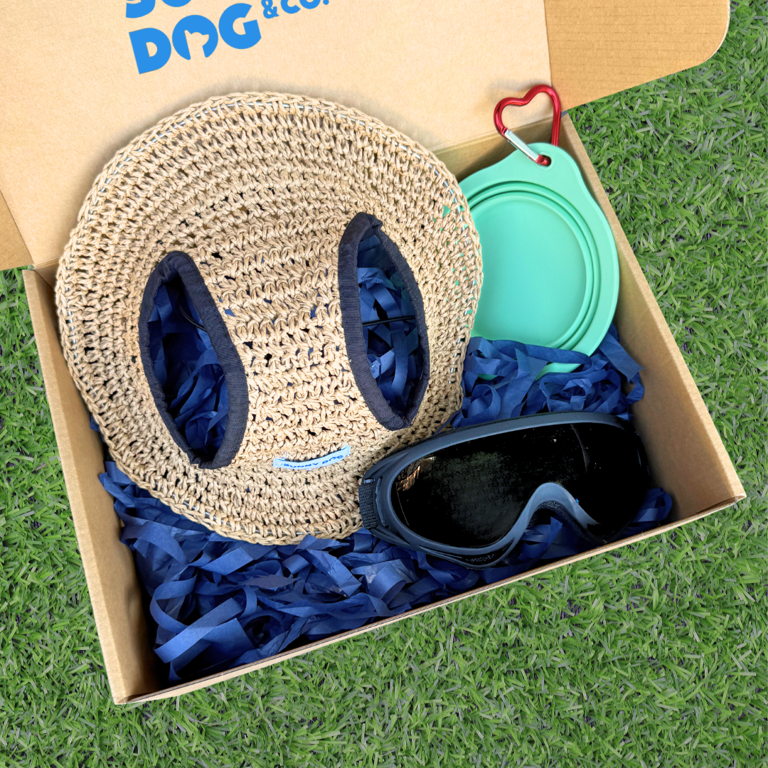 Outdoor Adventure Packs (Medium/Large Dogs)