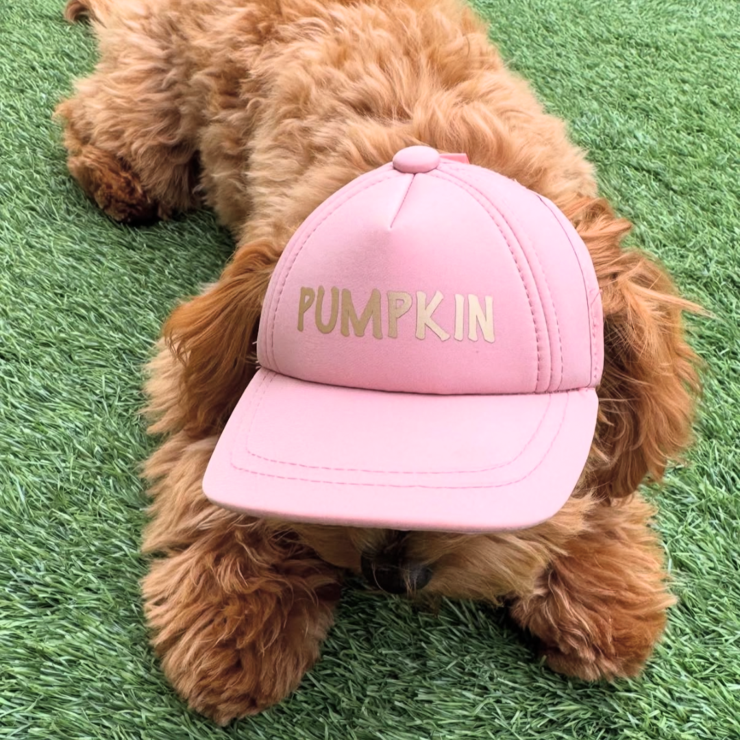 Dog Sun Caps - Personalised