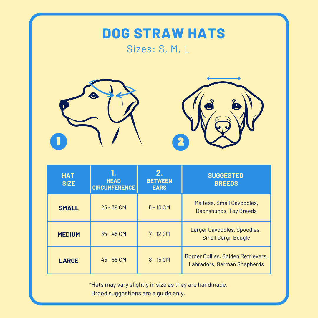 Outdoor Adventure Packs (Tiny/Small Dogs)