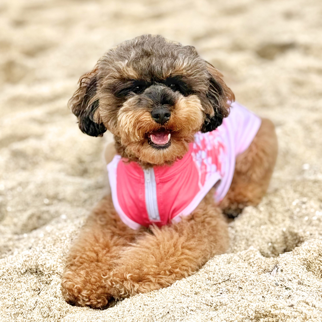 Dog Rashie Shirt - Pink Floral