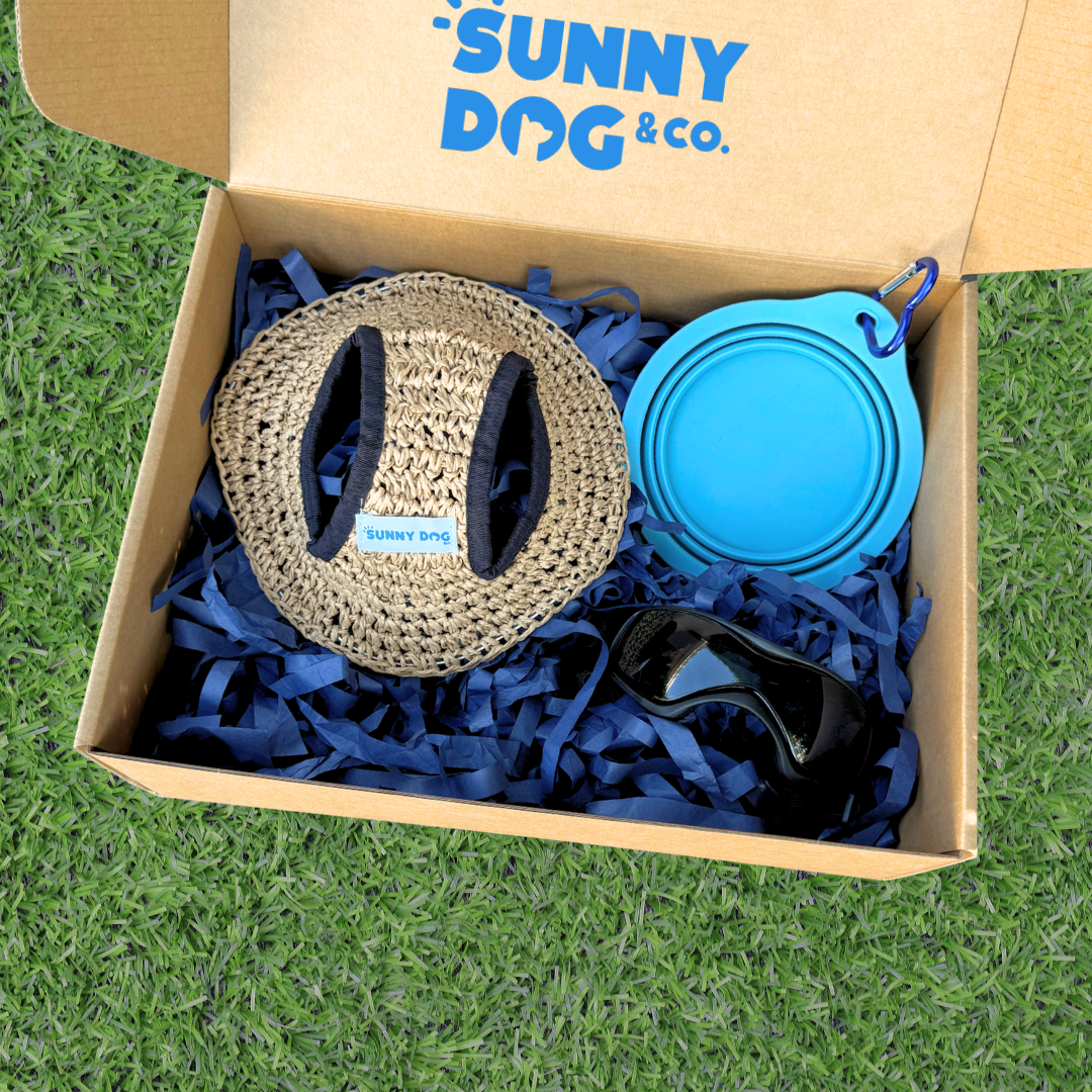 Outdoor Adventure Packs (Tiny/Small Dogs)