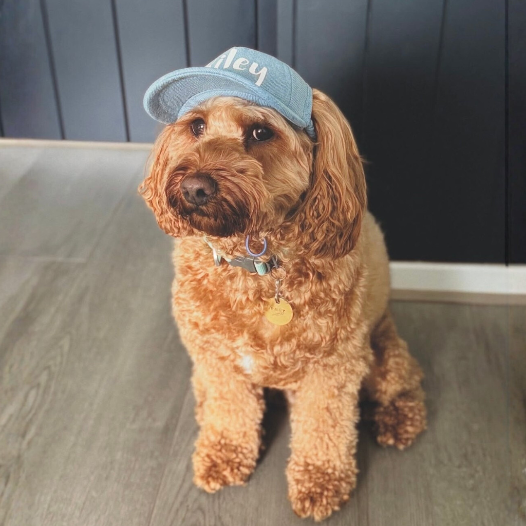 Dog Sun Caps - Personalised