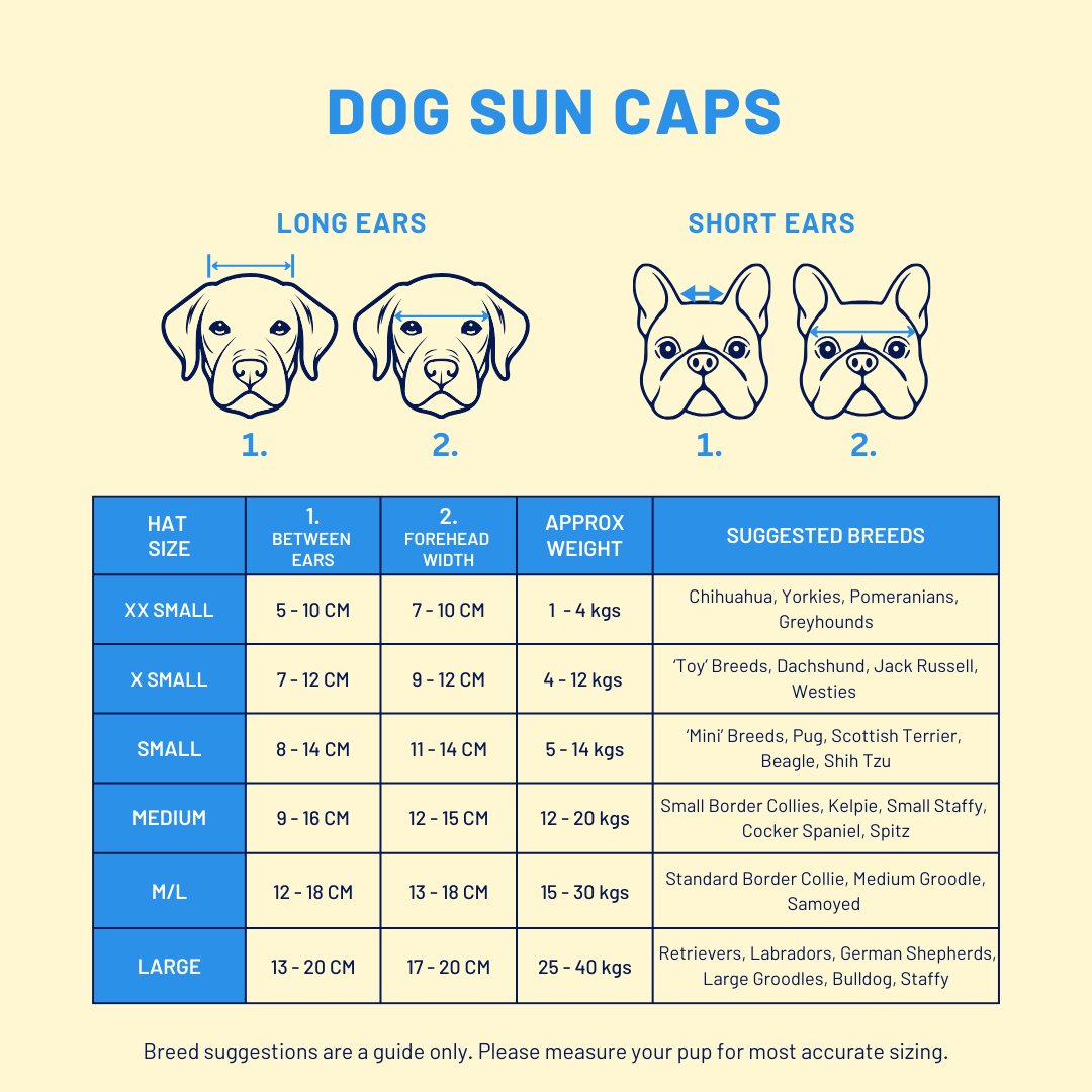 Dog Sun Cap
