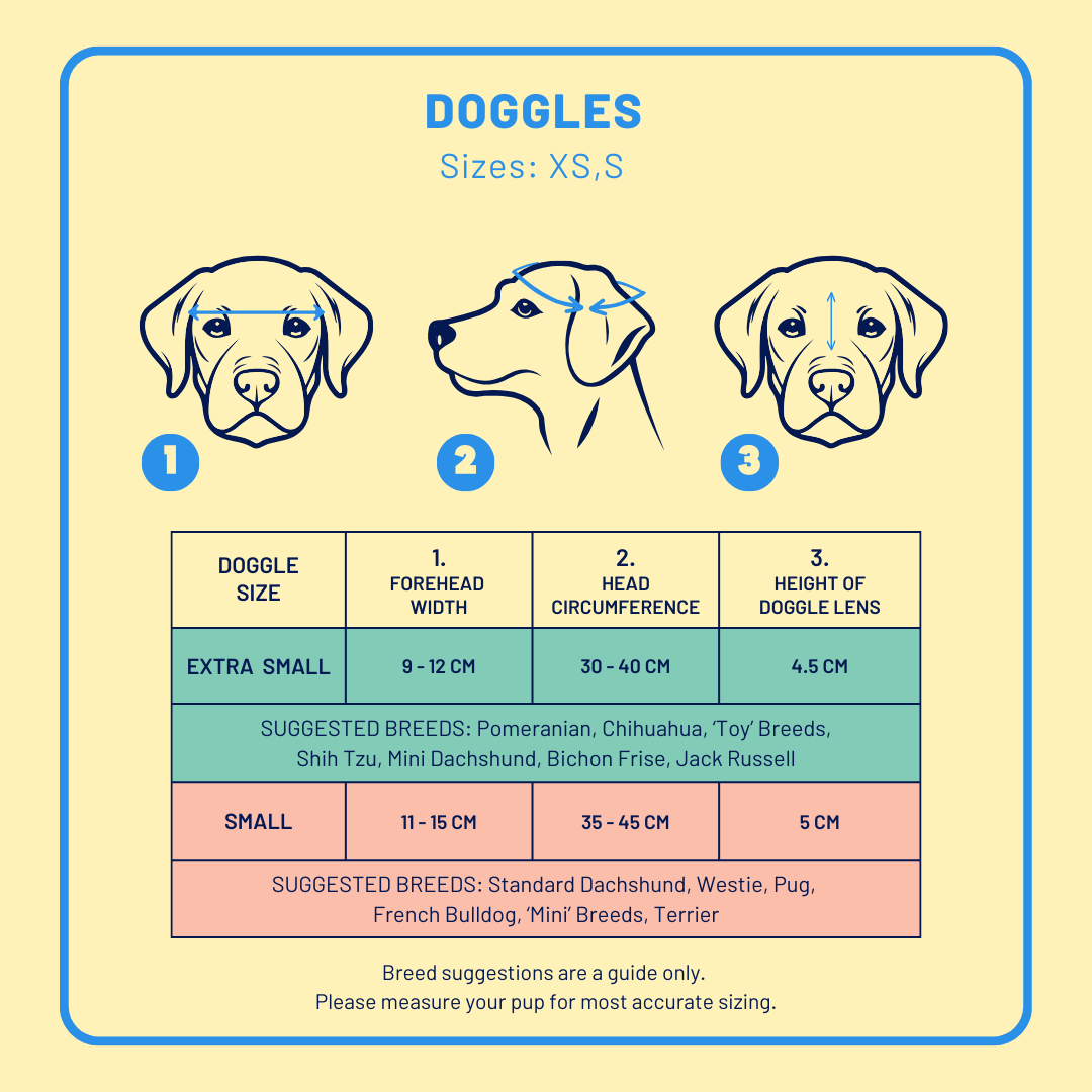 Outdoor Adventure Packs (Tiny/Small Dogs)