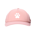 Dog Sun Cap - Prints