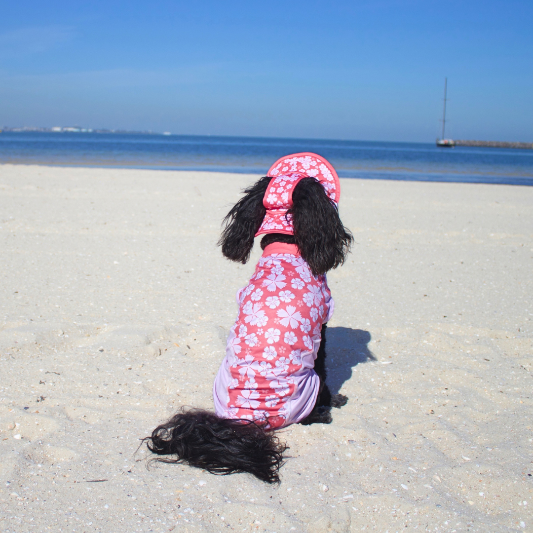 Dog Rash Shirt