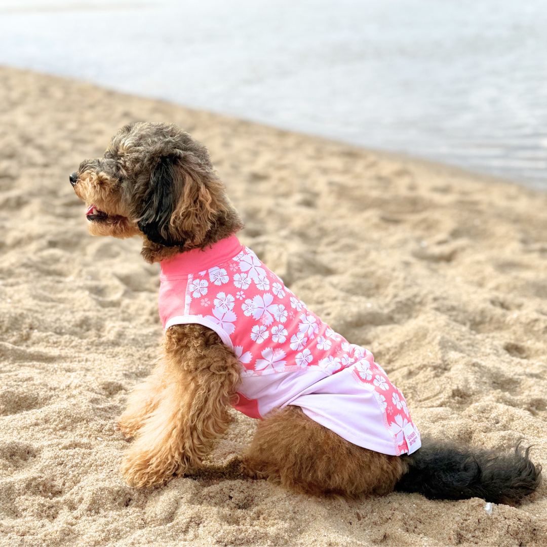 Dog Rashie Shirt - Tropical Yellow