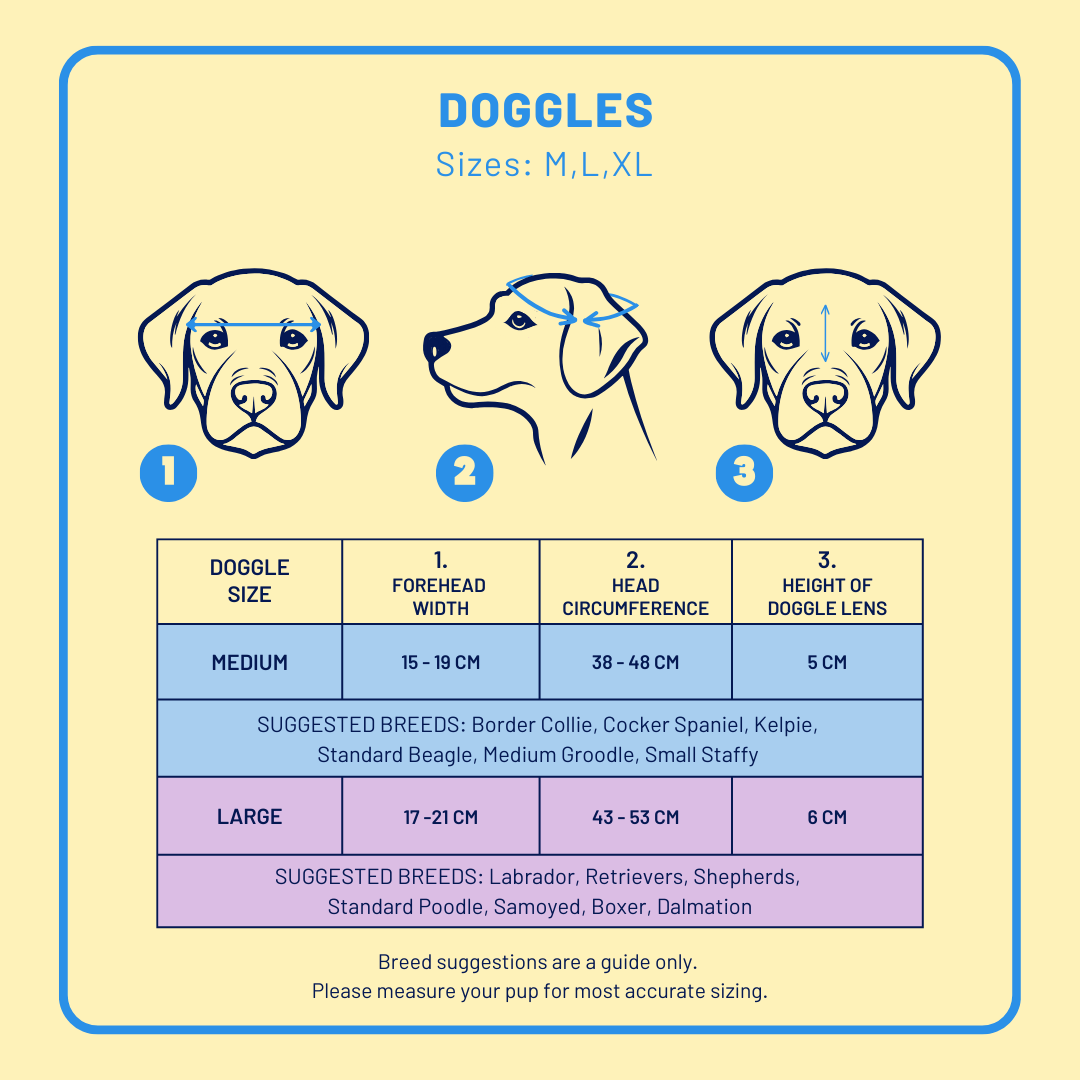 Doggles (Medium/Large Dogs)