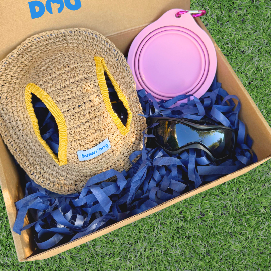 Outdoor Adventure Packs (Tiny/Small Dogs)