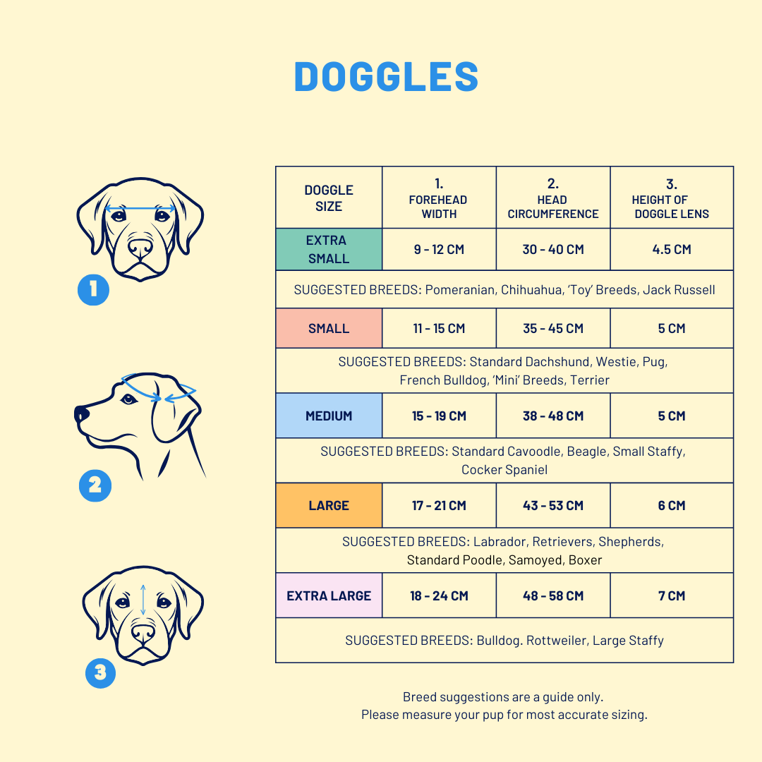 Doggles (Tiny-Medium Dogs)