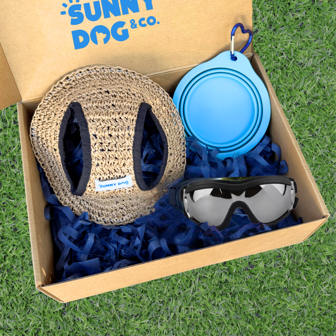 Outdoor Adventure Packs (Medium/Large Dogs)