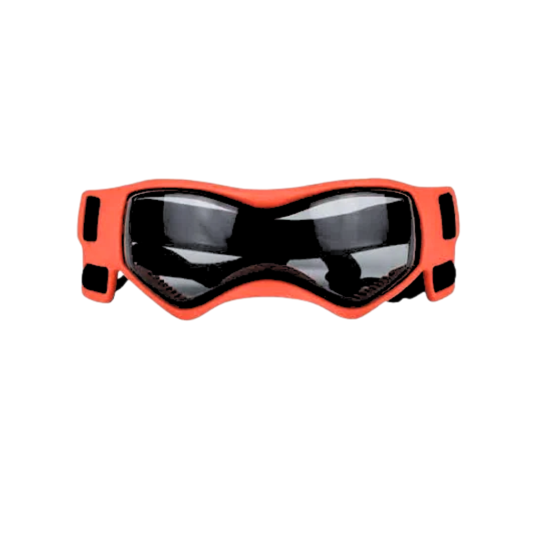 ski goggles for dogs Doggles (Tiny-Medium Dogs) – Sunny Dog and Co