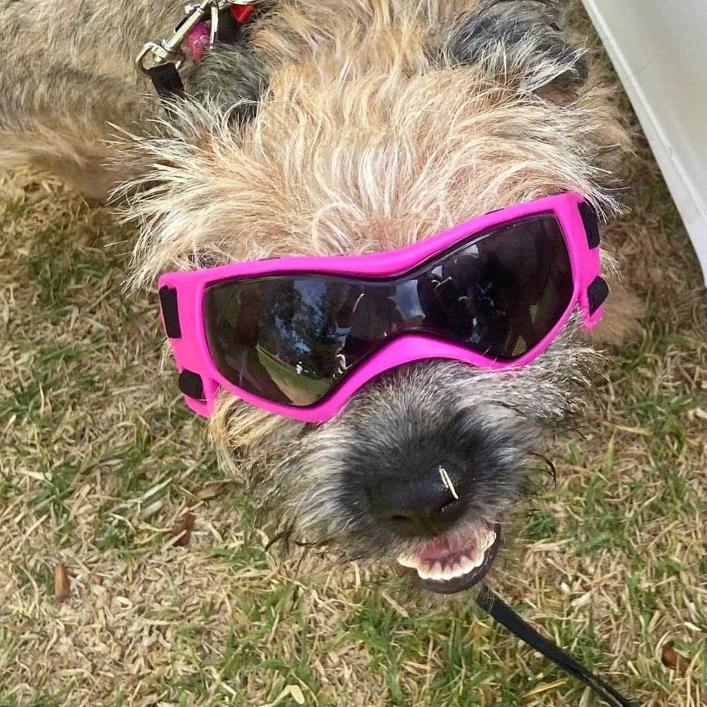 Doggles (XS-M Dogs)