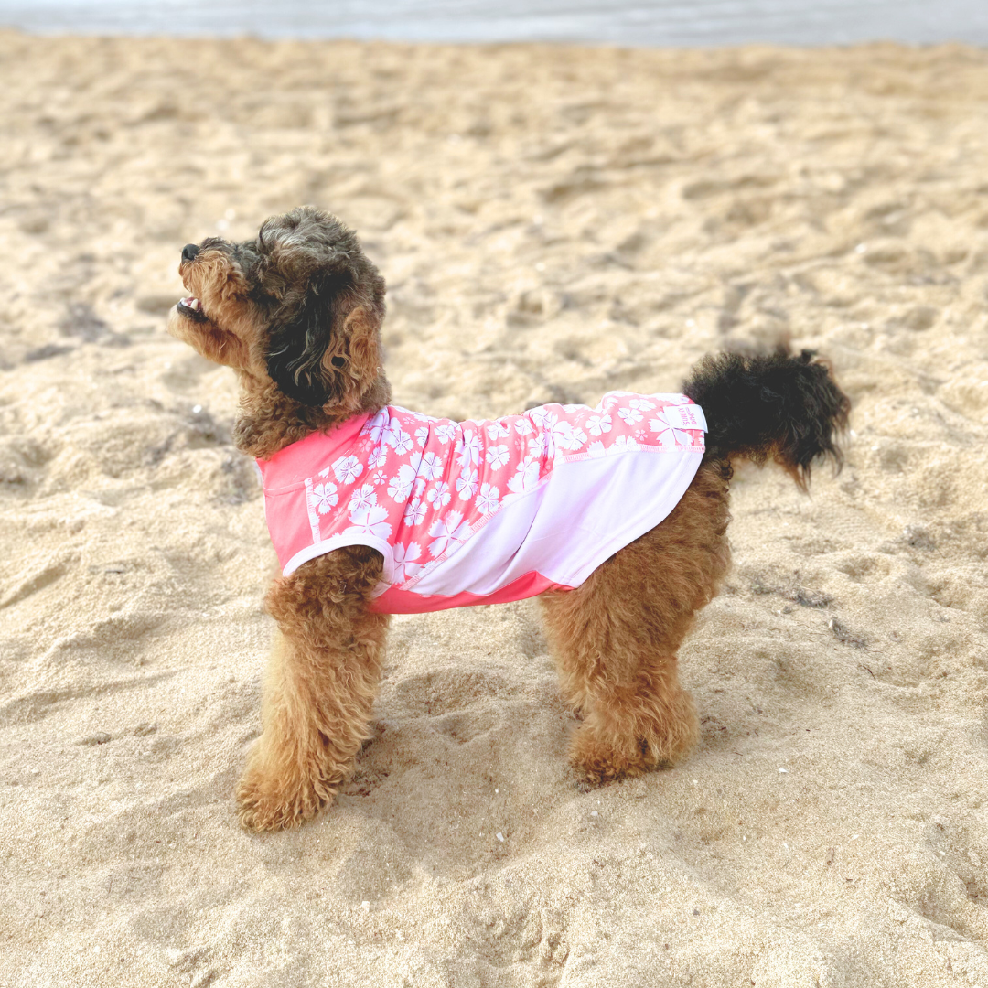 Dog Rashie Shirt - Pink Floral