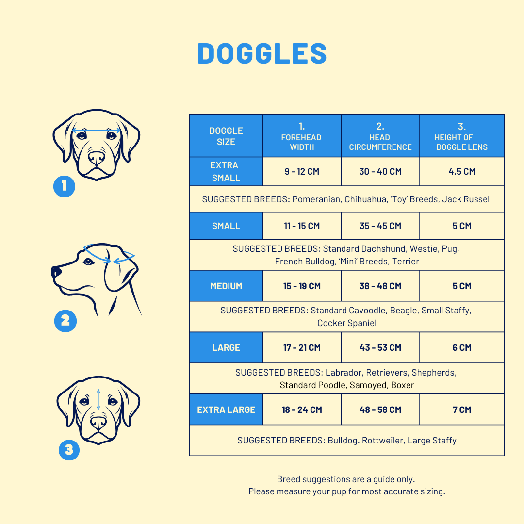 Doggles (Tiny-Medium Dogs)