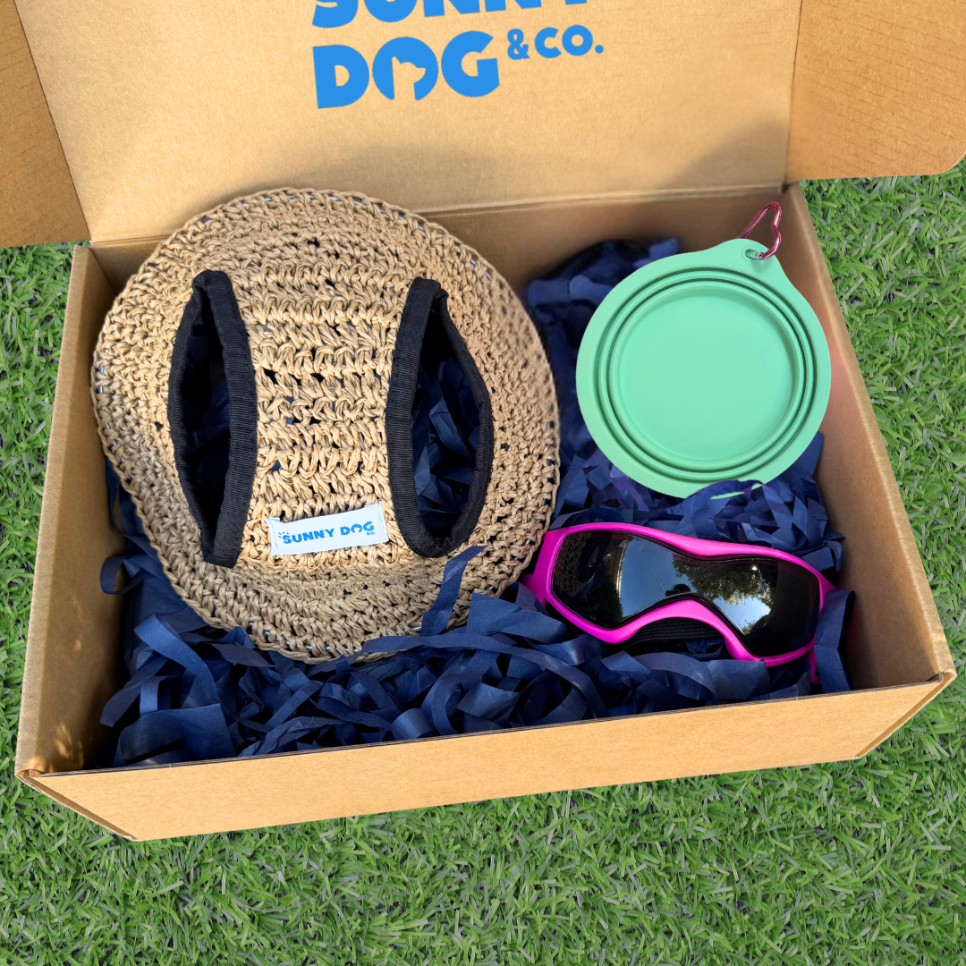 Outdoor Adventure Packs (Tiny/Small Dogs)
