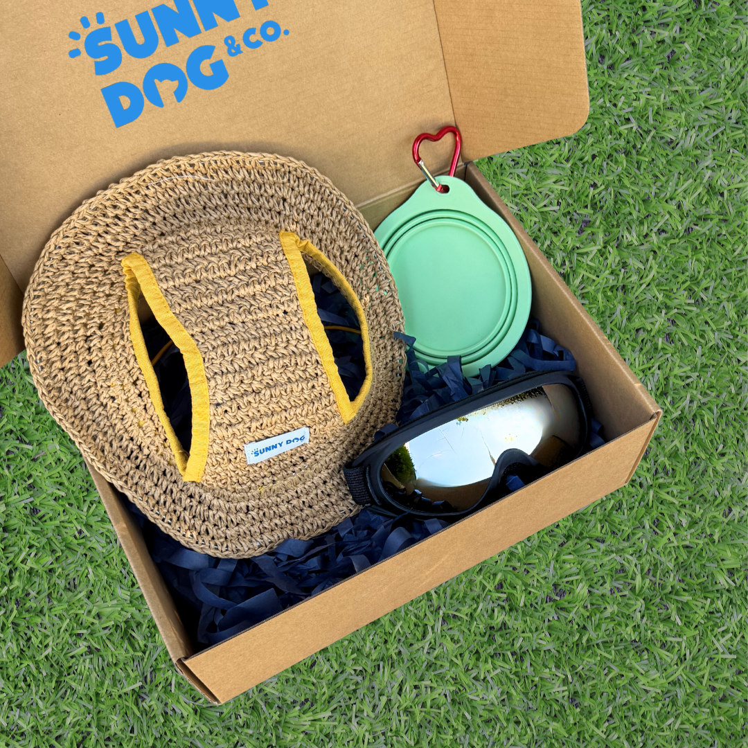 Outdoor Adventure Packs (Medium/Large Dogs)