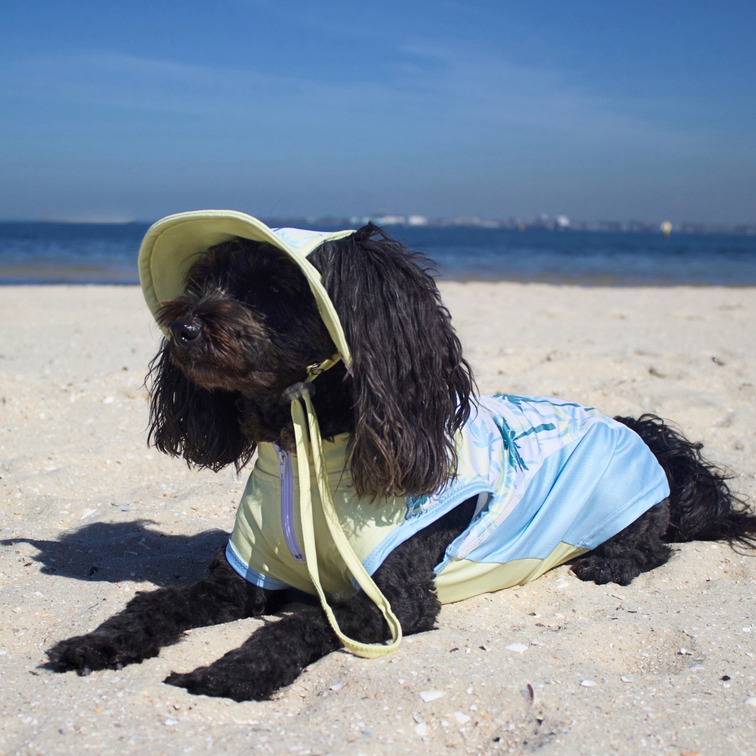 Beach Day Bundle Pack