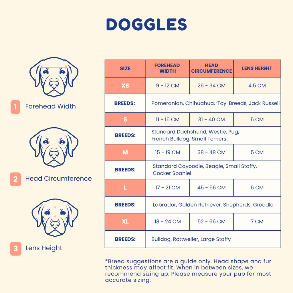 Doggles (XS-M Dogs)