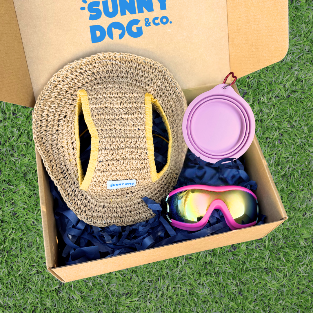 Outdoor Adventure Packs (Medium/Large Dogs)