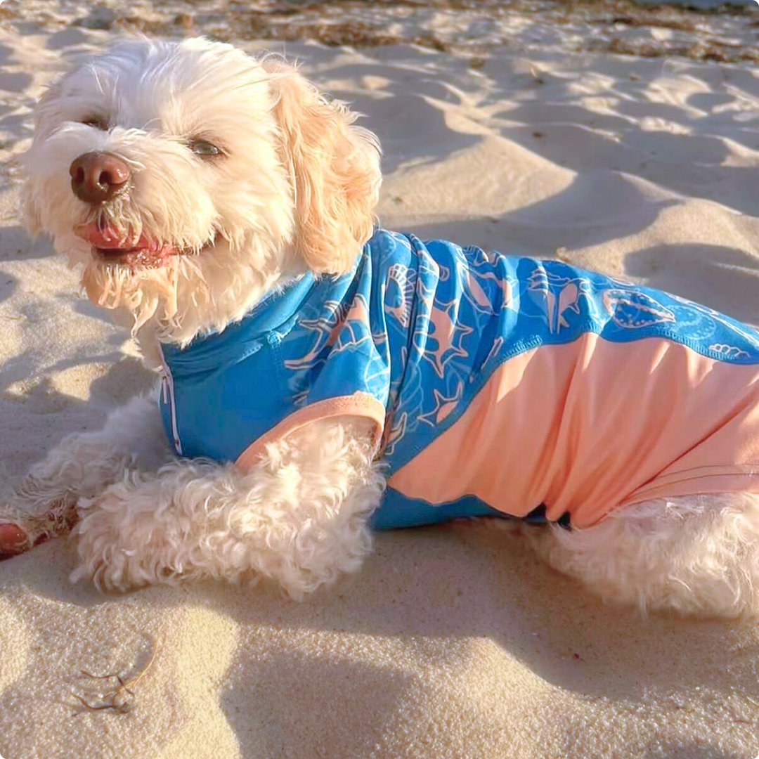 Dog Rashie Shirt - Blue Orange Sea Shells