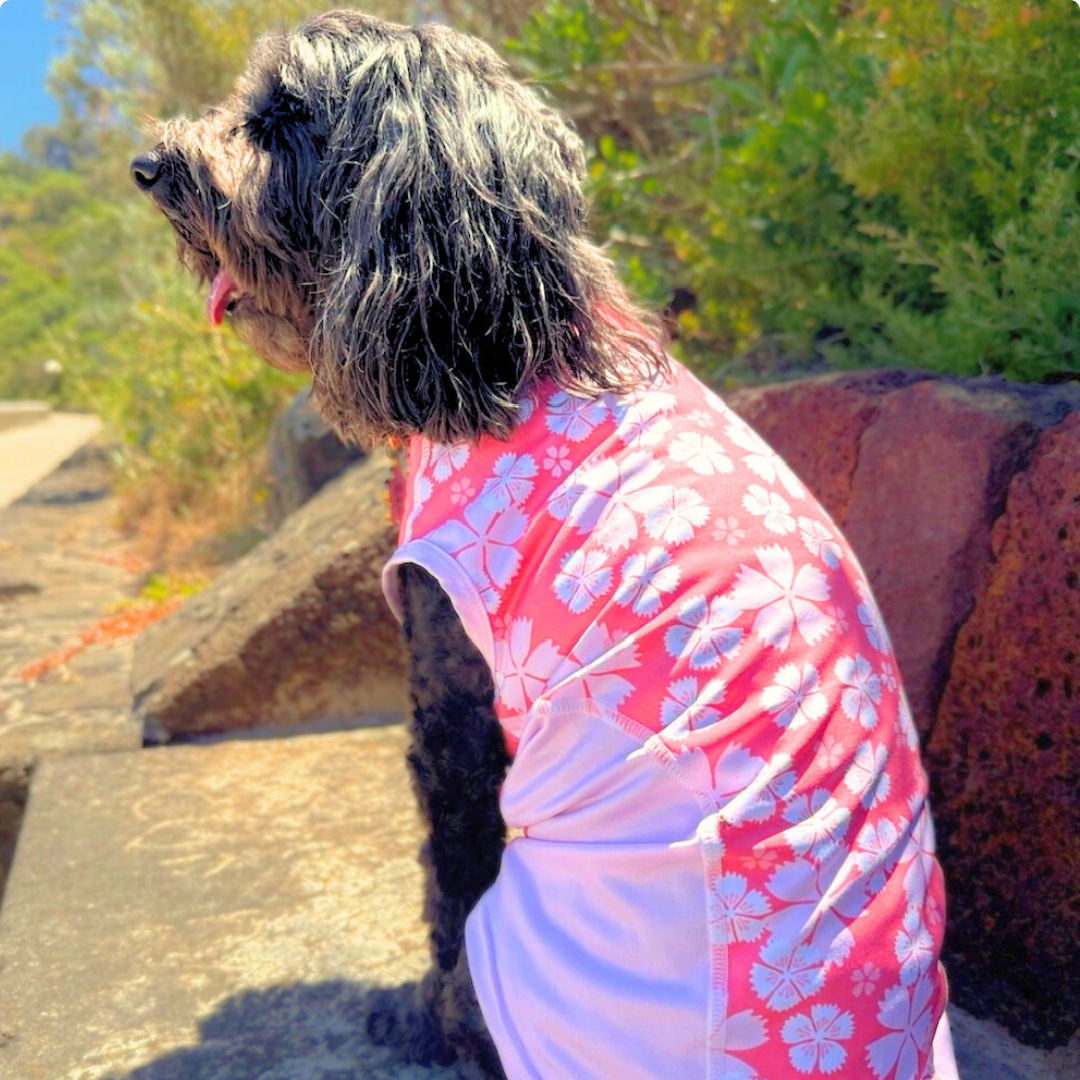 Dog Rash Shirt