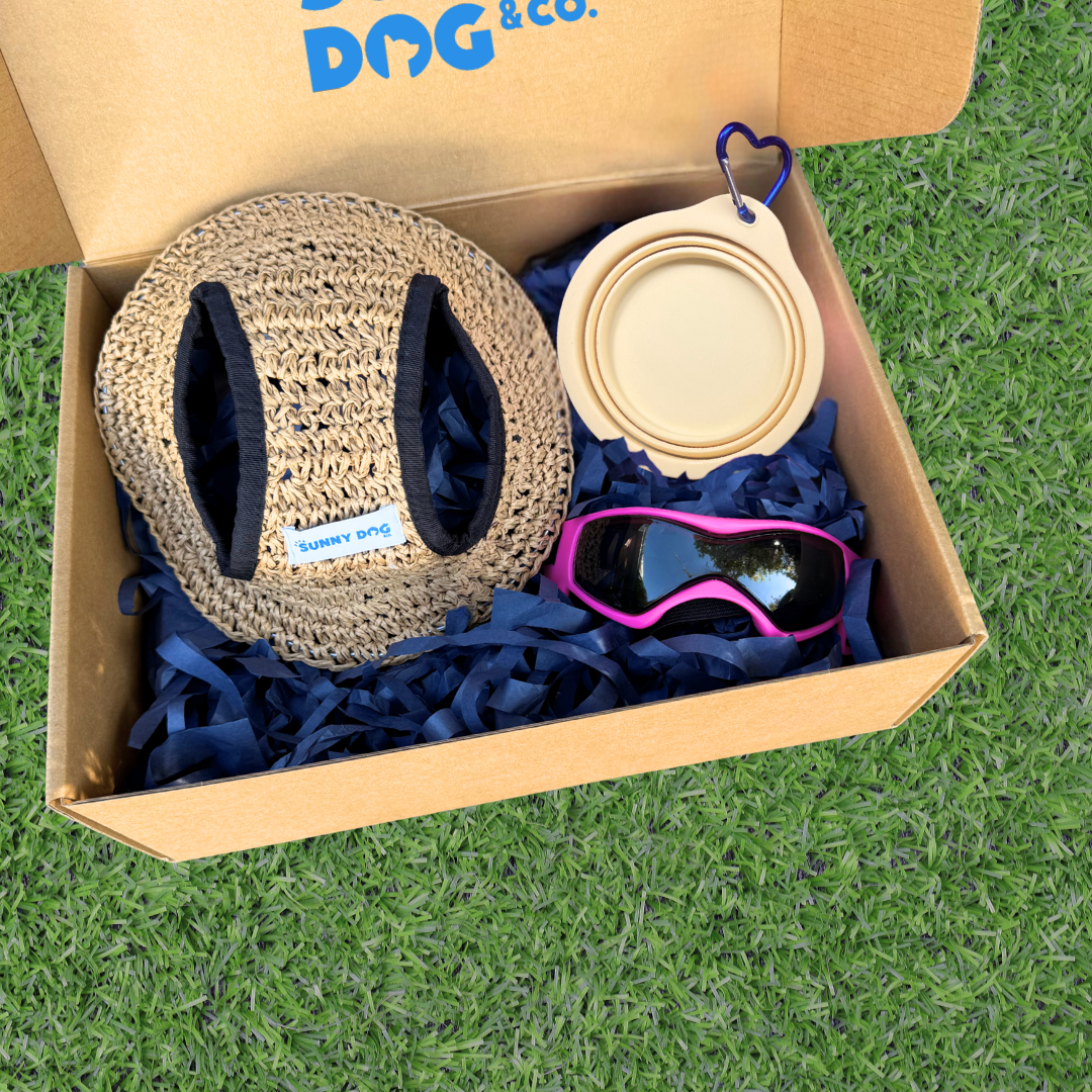 Outdoor Adventure Packs (Tiny/Small Dogs)