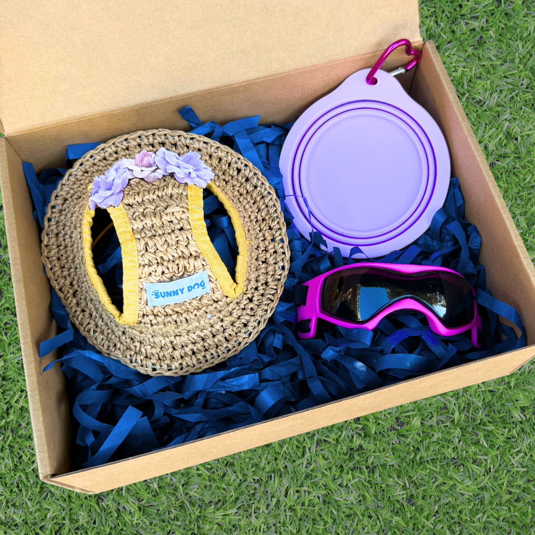 Outdoor Adventure Packs (Tiny/Small Dogs)