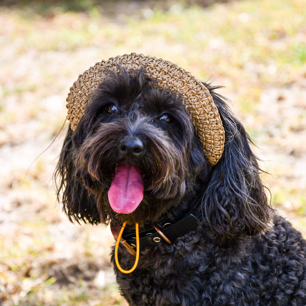 Dog Straw Hat