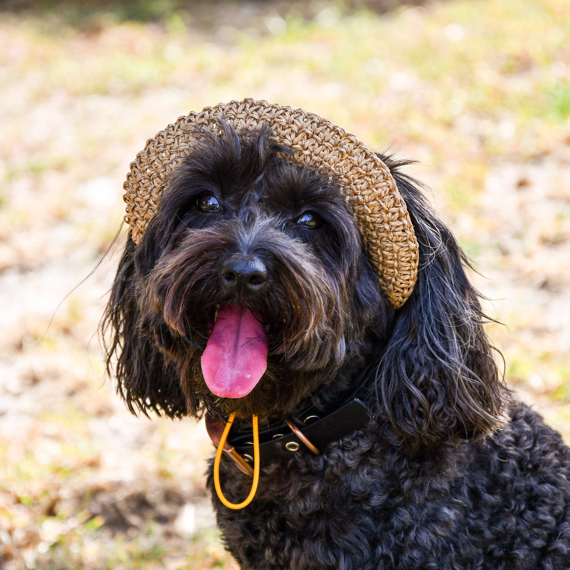 Dog Straw Hat