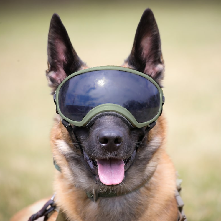 UV Protective Eye Wear