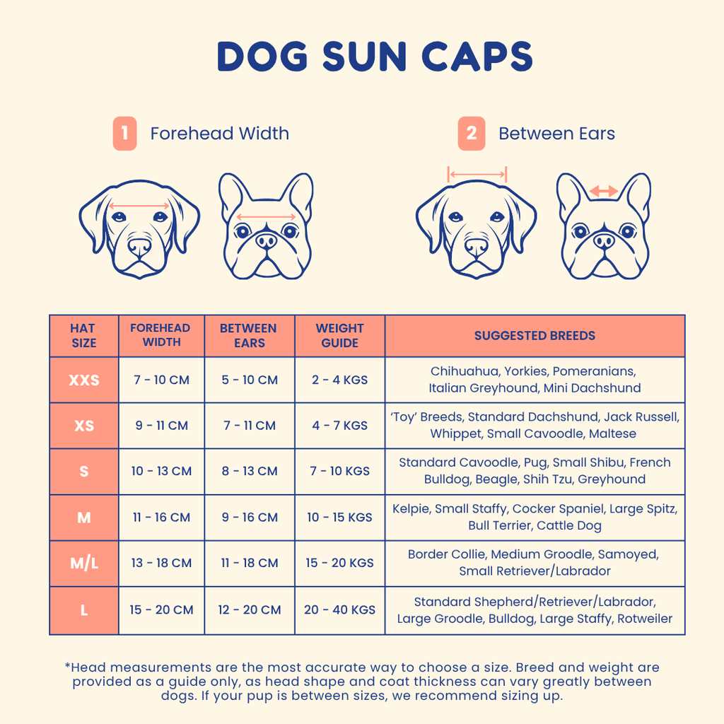 Dog Sun Cap