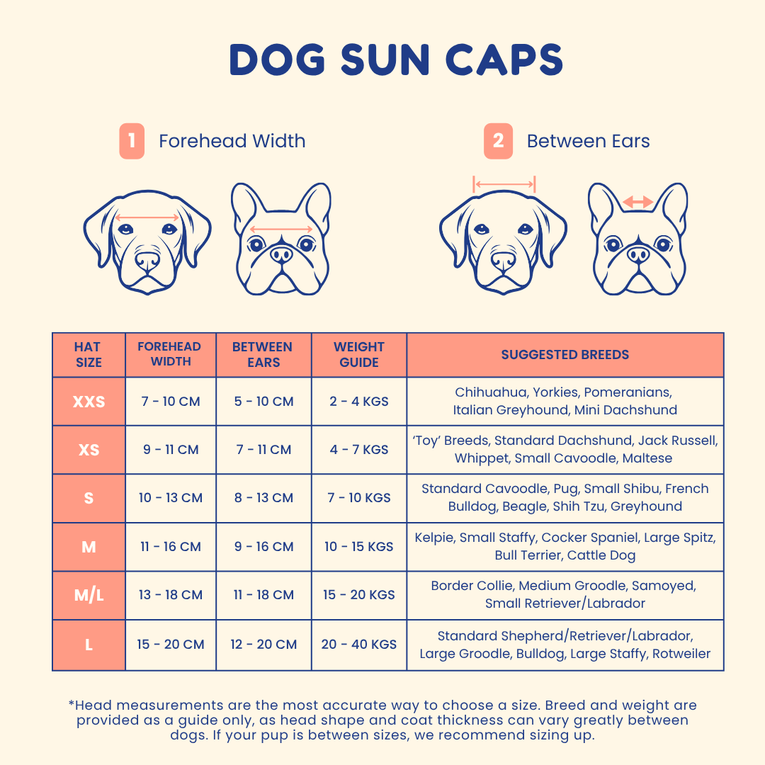 Dog Sun Cap