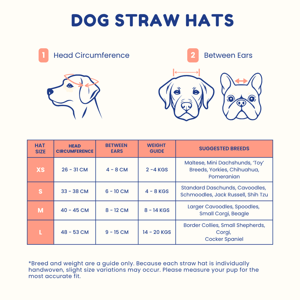 Dog Straw Hat