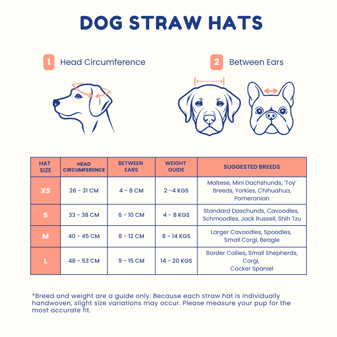 Dog Straw Hat