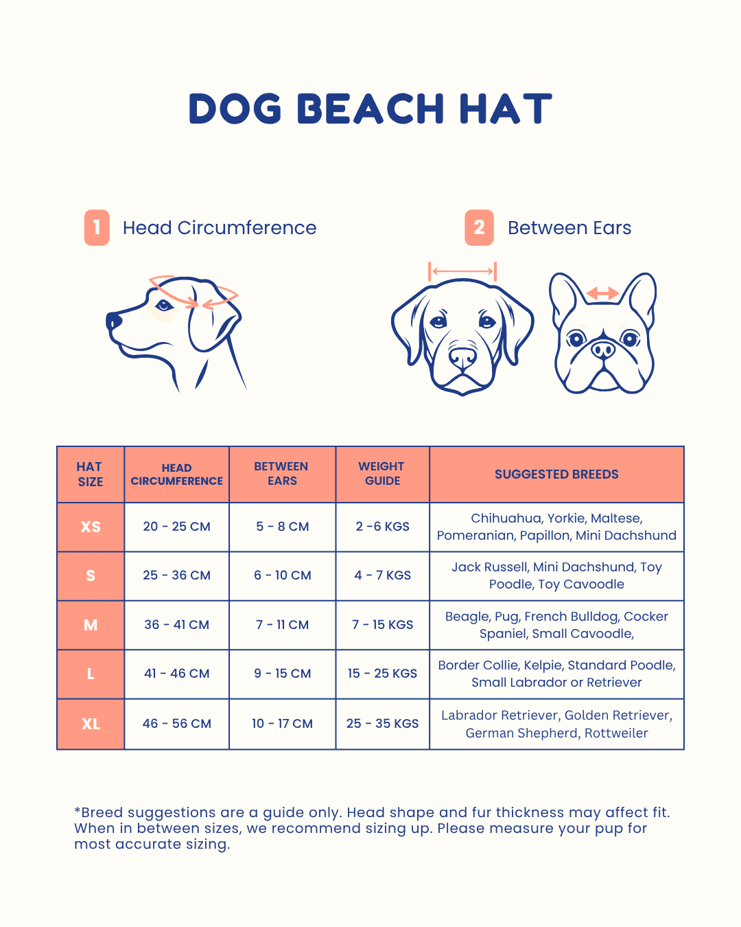 Reversible Dog Beach Hat