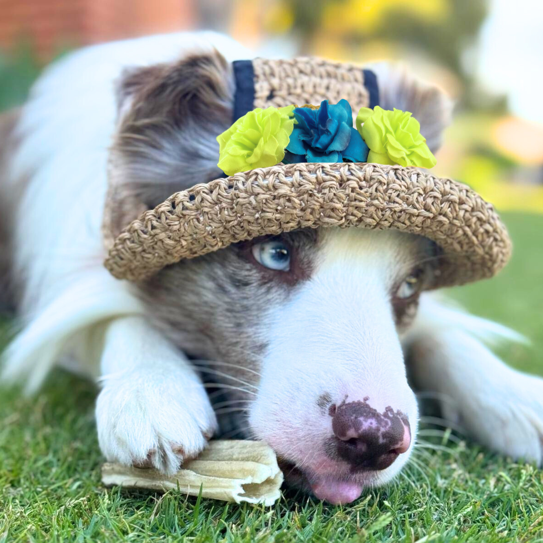 Dog Straw Hat with Flowers