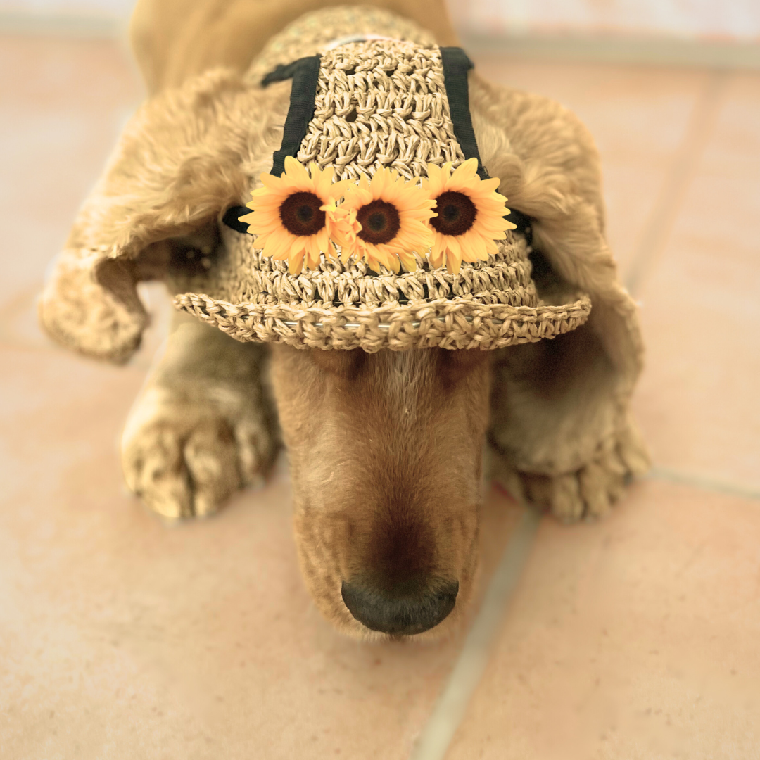Dog Straw Hat with Flowers
