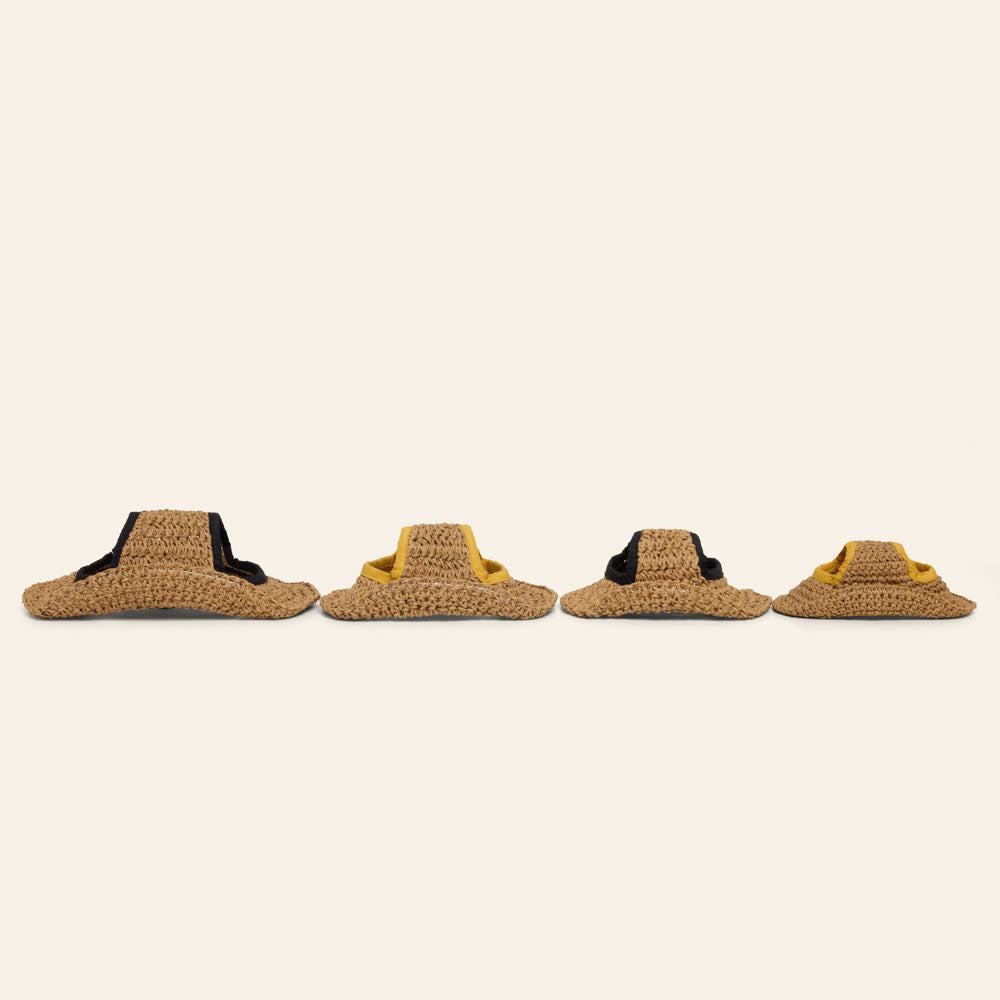 Dog Straw Hat