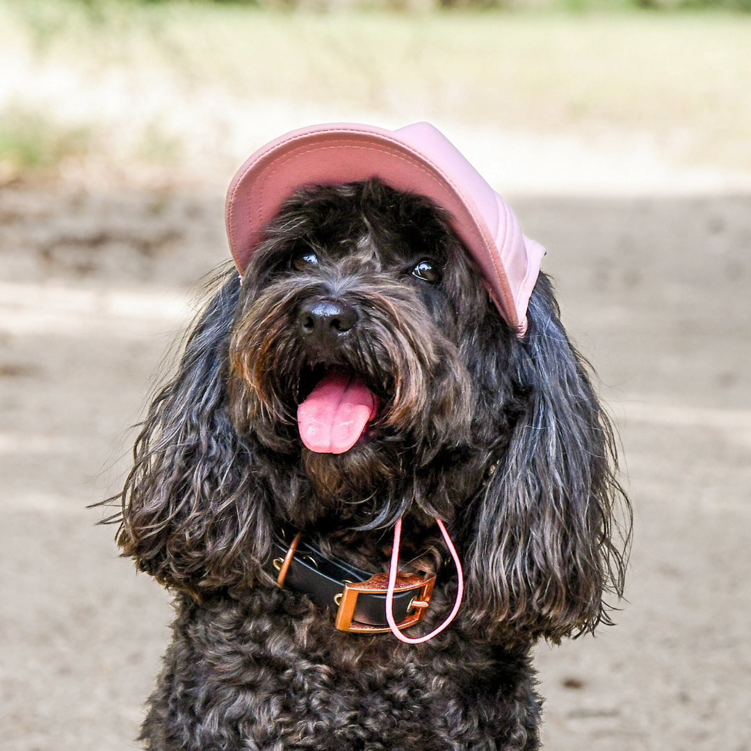 Dog Sun Caps *Pre Order Deposit*